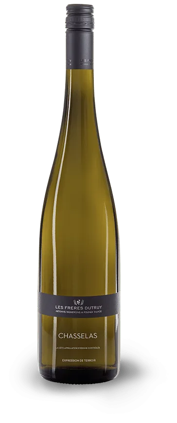 Chasselas