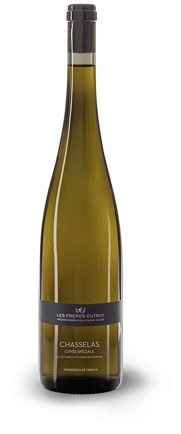 Chasselas Spécial