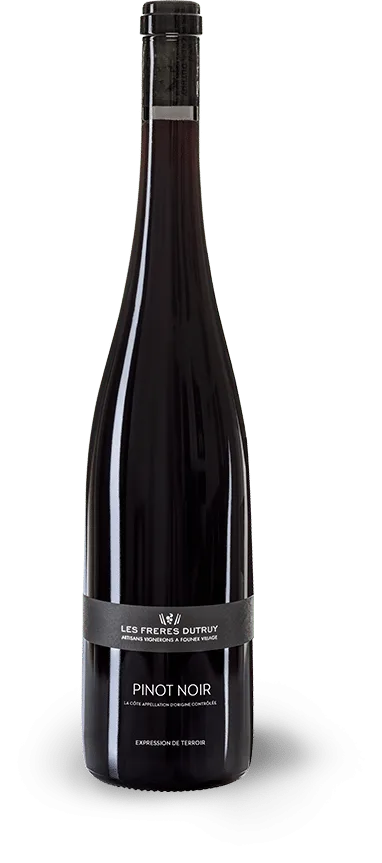 Pinot Noir