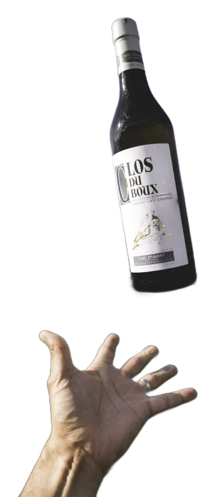 Epesses Clos du Boux