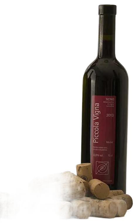 Piccola Vigna