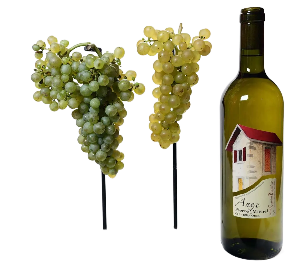 Cuvée blanche