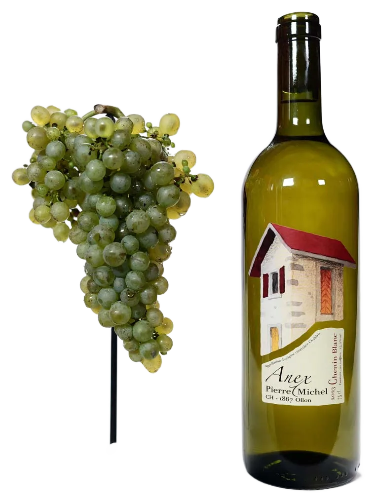 Chenin blanc