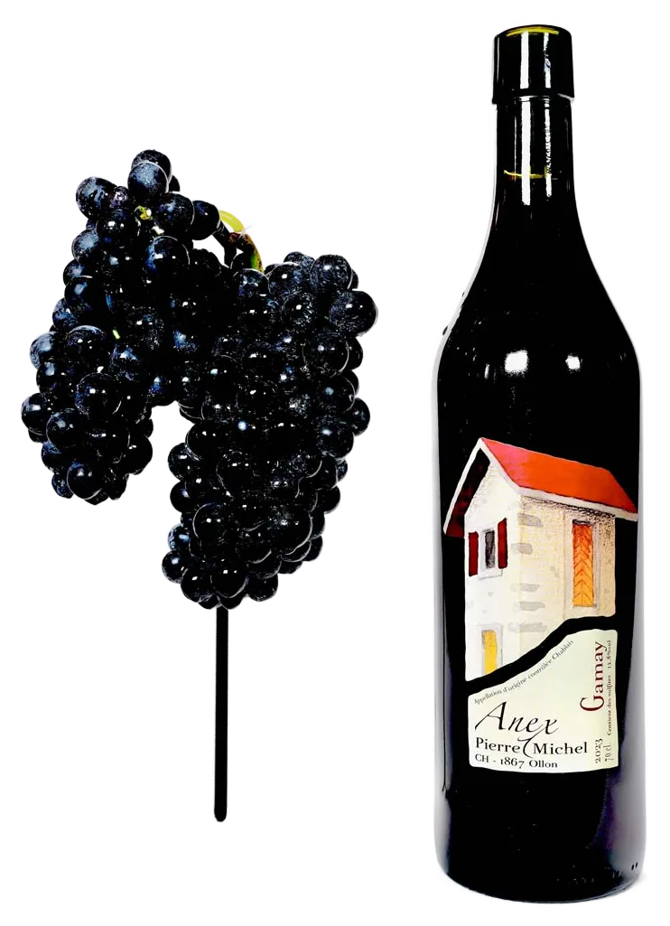 Gamay