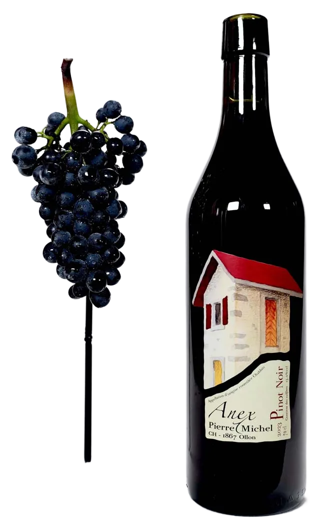 Pinot Noir