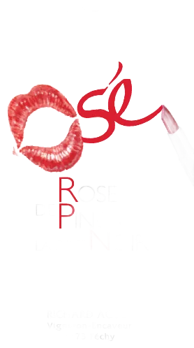 Rosé de Pinot Noir « Osé »