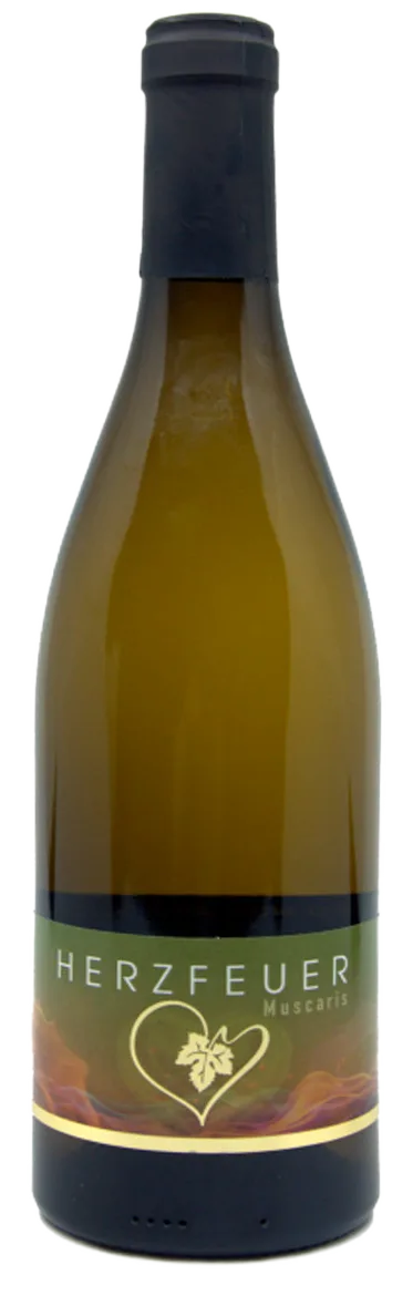 Muscaris Herzfeuer