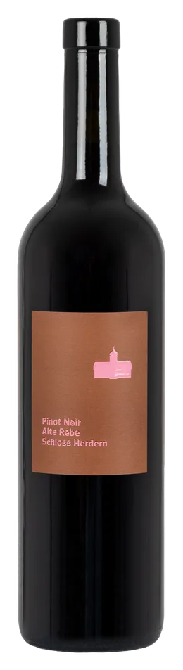 Pinot Noir Alte Rebe
