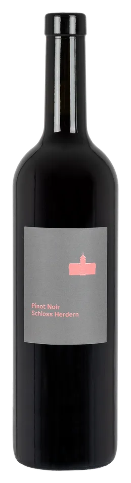 Pinot Noir Judihui
