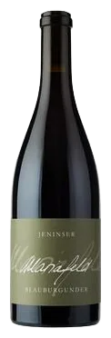 Jeninser Blauburgunder "Mariafeld"