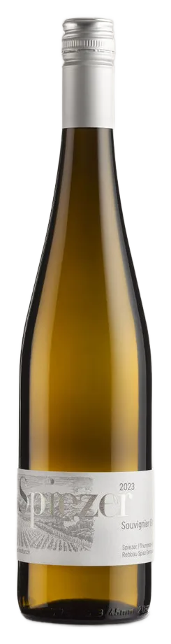 Spiezer Souvignier Gris