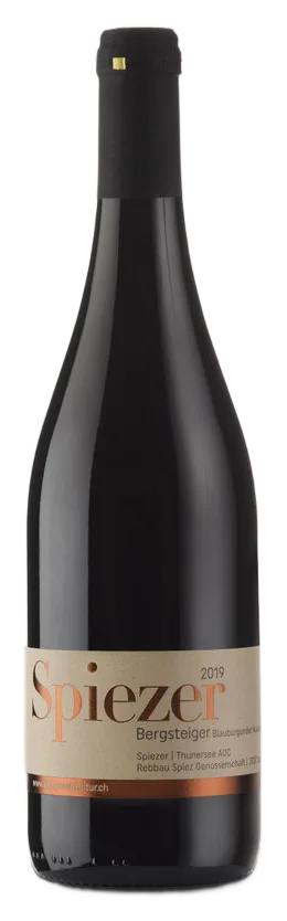 Spiezer Bergsteiger