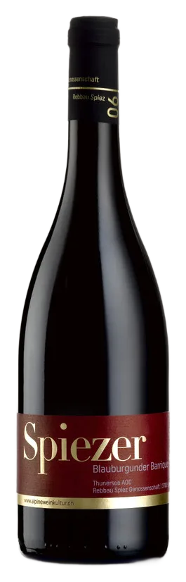 Spiezer Blauburgunder Barrique