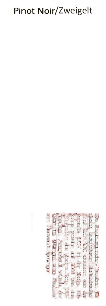 Pinot/Zweigelt