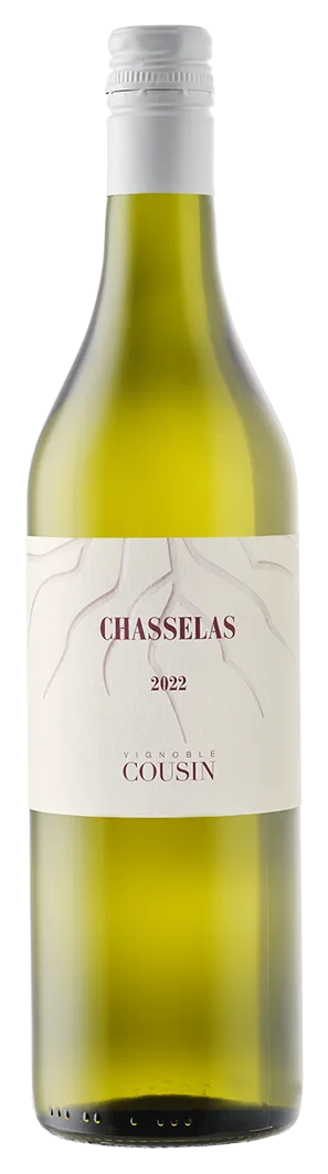 Chasselas