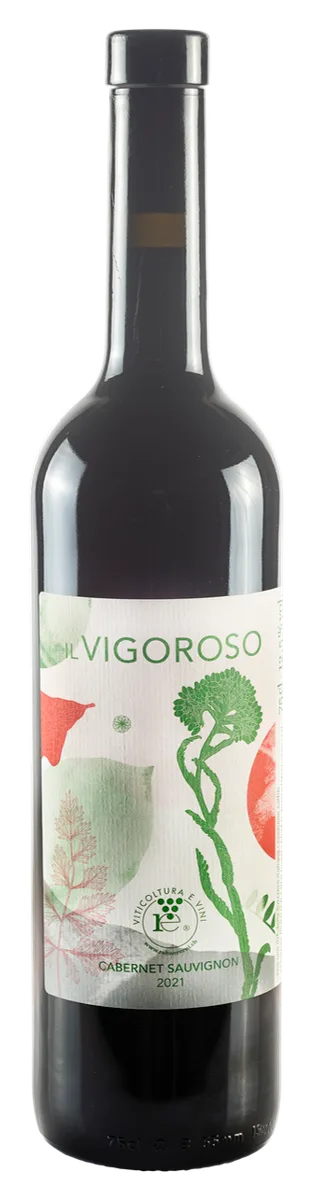 IL VIGOROSO