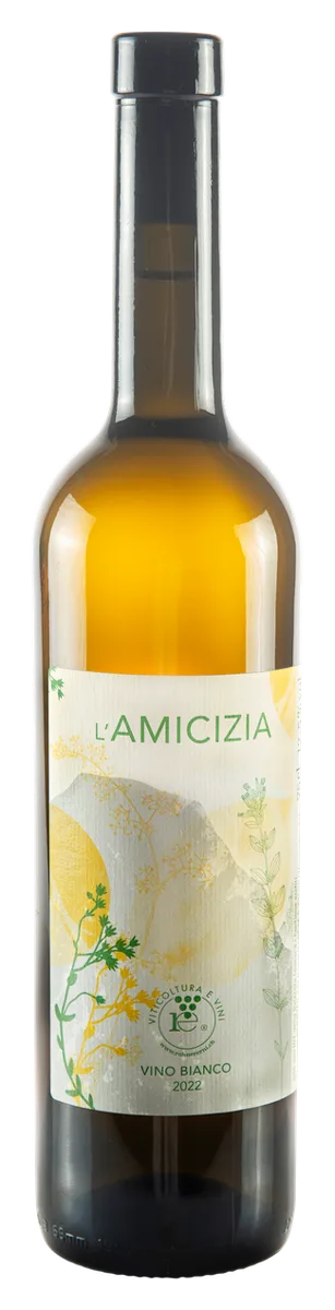 L'AMICIZIA
