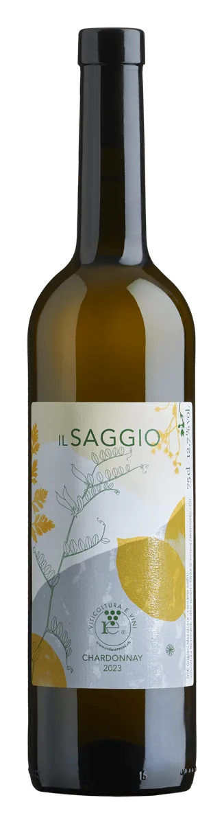 IL SAGGIO