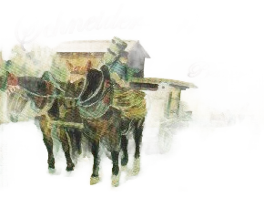 Reichensteiner