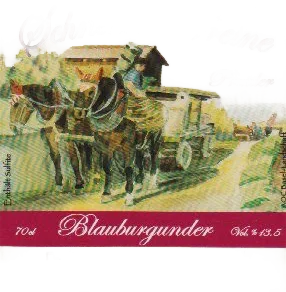 Blauburgunder