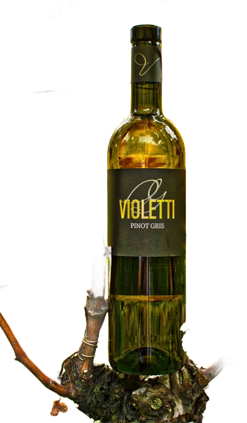 Pinot Gris