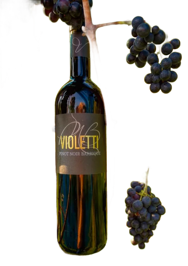 Pinot Noir Barrique
