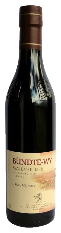 Blauburgunder