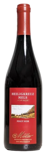 Melser Steinersteg
