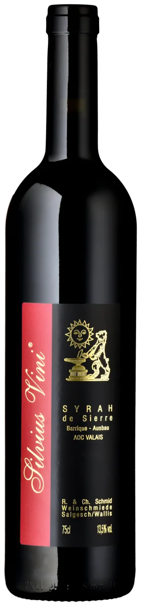 Silvius Vini