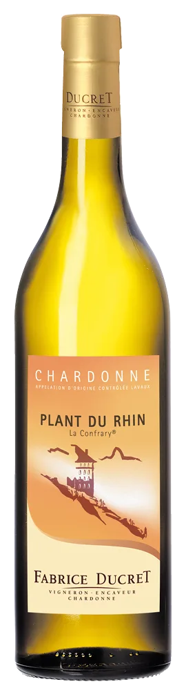 Plant du Rhin