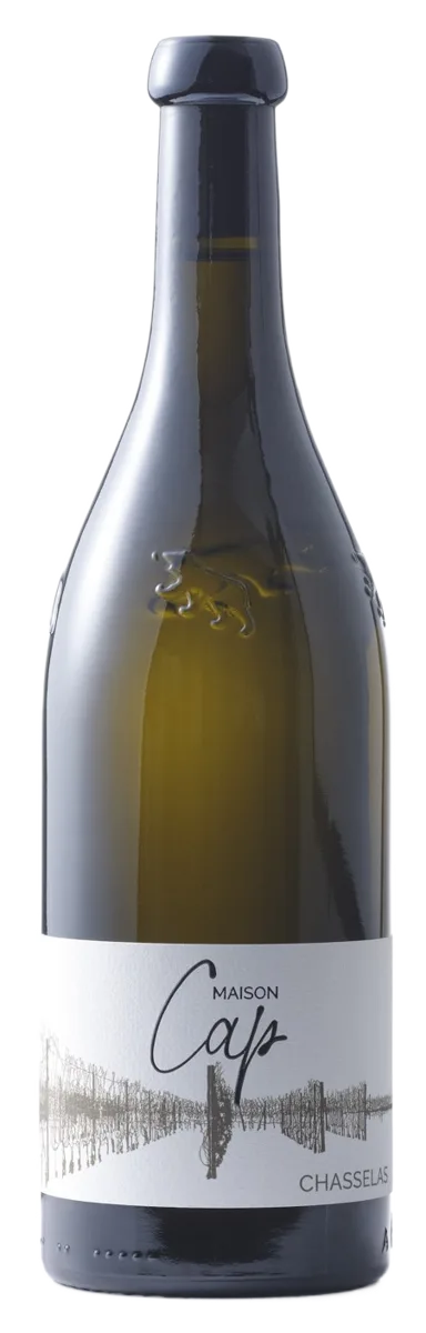 Chasselas