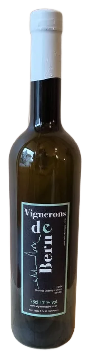 Weisse Assemblage