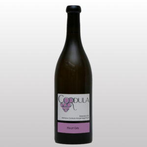 Pinot Gris 2023