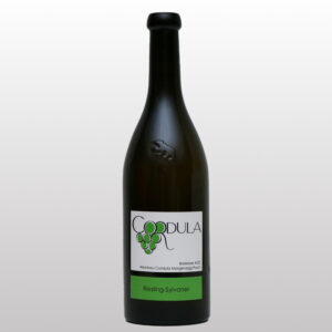 Riesling-Sylvaner 2025