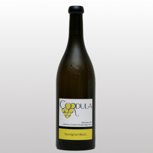 Sauvignon Blanc 2025
