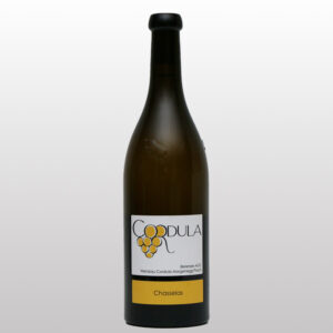 Chasselas 2025