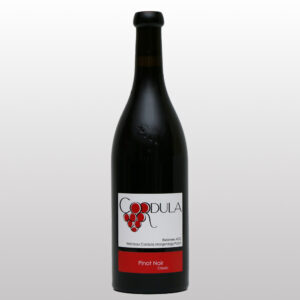 Pinot Noir Classic 2024