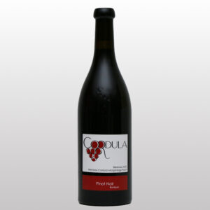 Pinot Noir Barrique 2023