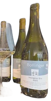 Souvignier Gris