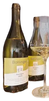Sauvignac