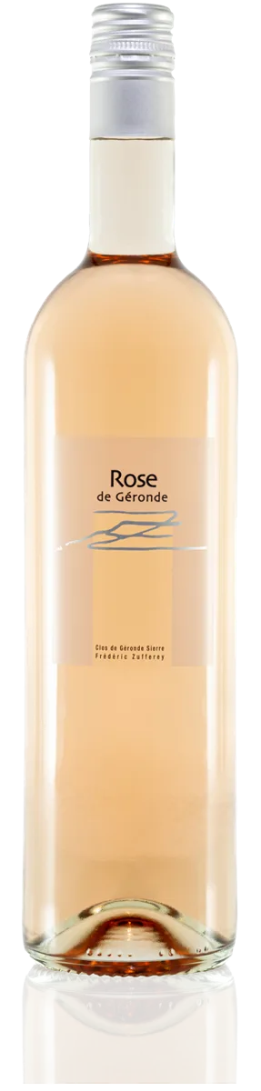 Rose de Géronde