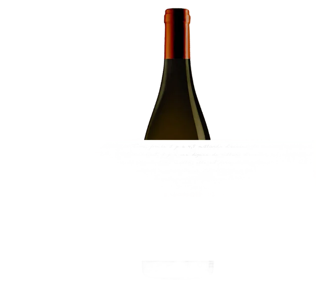 Gamay-garanoir grand cru 2025