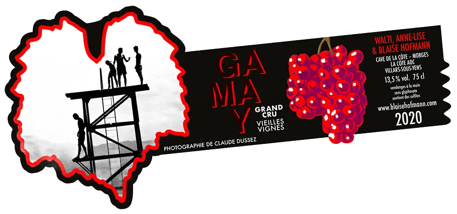Gamay grand cru 2020