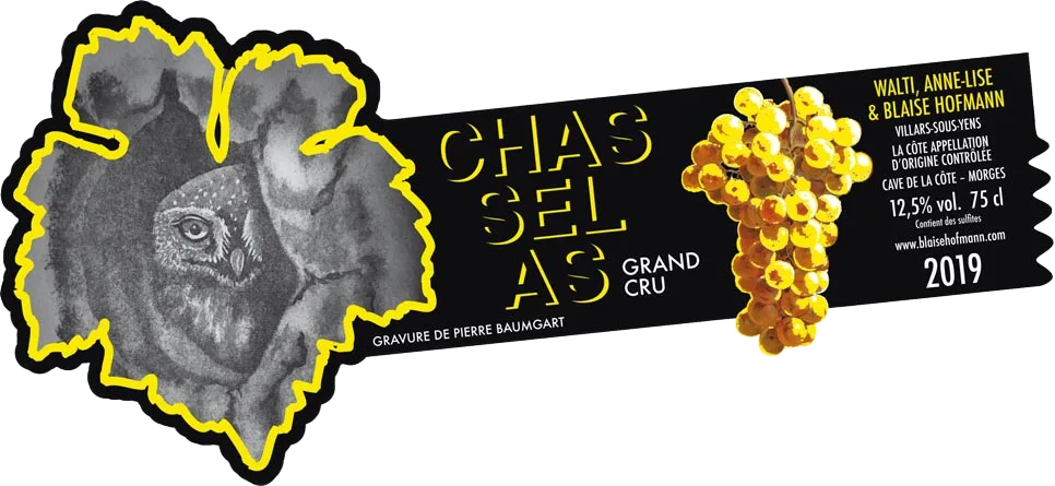 Chasselas grand cru 2019