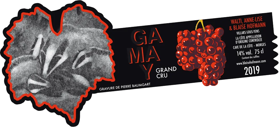 Gamay grand cru 2019