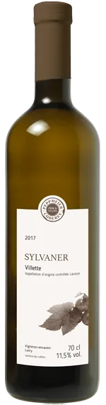 Sylvaner