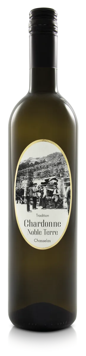 Chardonne Noble Terre Chasselas