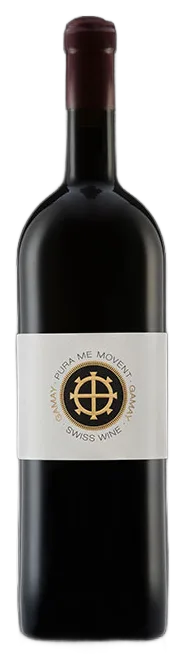Gamay A