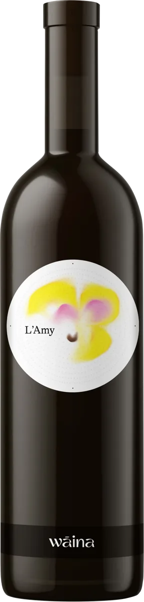 L'Amy