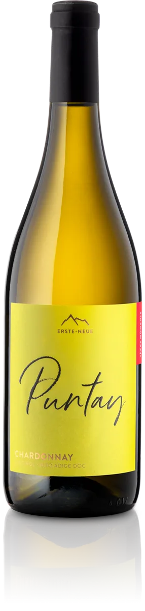 Chardonnay Bio